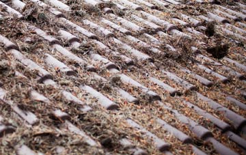 Stoke Wharf roof cleaning companies